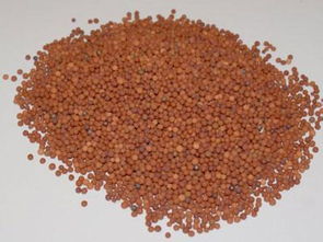 深度解析陶粒滤料 市场价格趋势、北京厂家推荐与高清产品图鉴